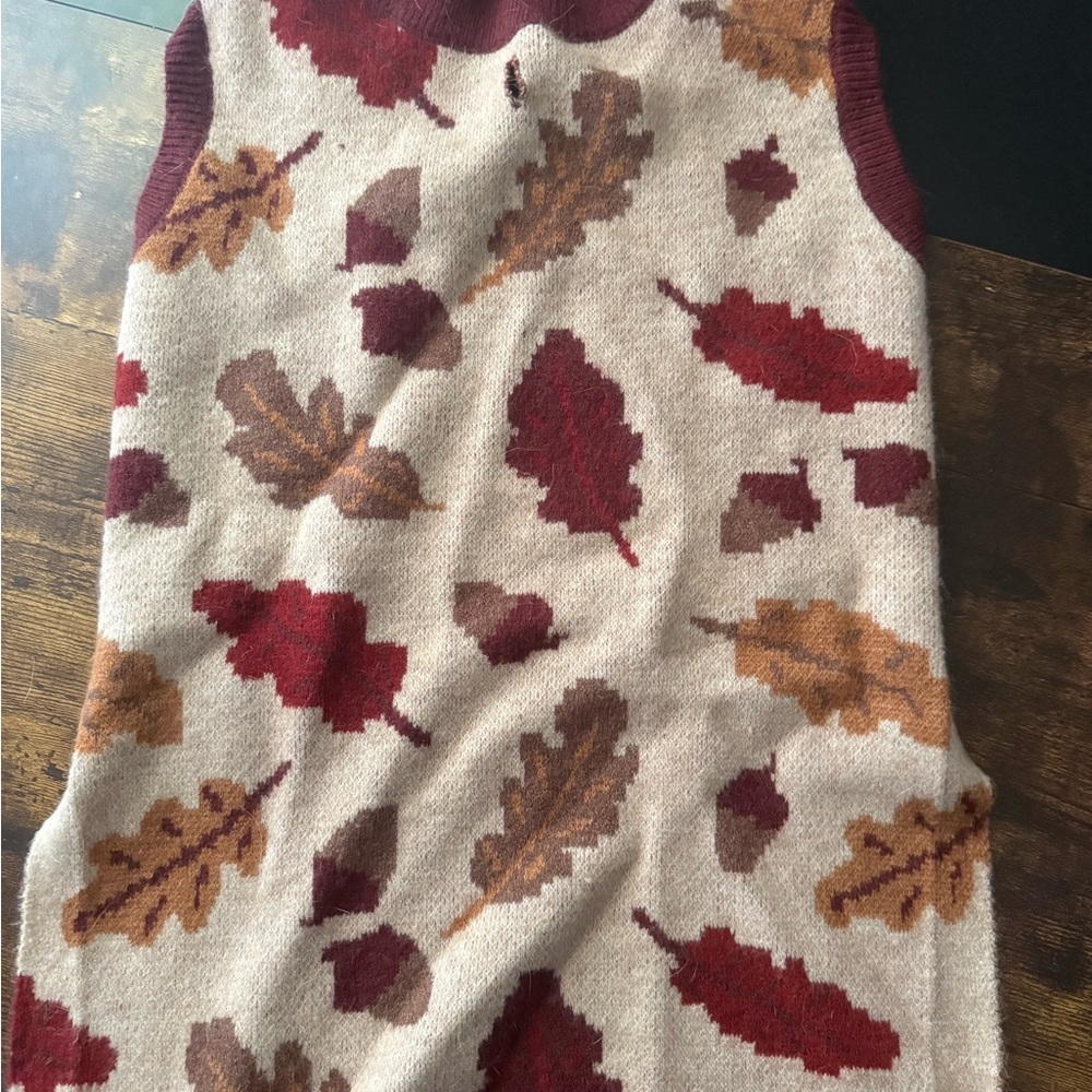 Autumn Leaf Pattern Dog Sweater